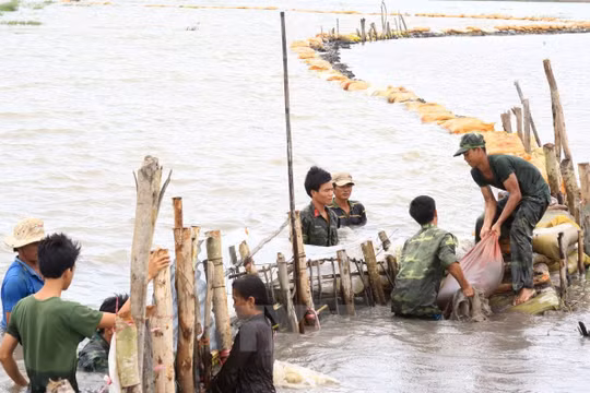 Ảnh minh họa. (Nguồn: Internet)