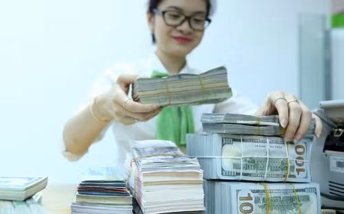 Đưa lãi suất USD lên khỏi mặt đất cũng đúng cả nghĩa đen và nghĩa bóng. Đó là nâng lãi suất lên trên 0% sẽ tạo động lực kéo nguồn ngoại tệ nhàn rỗi đang “chôn dưới đất” trong dân cư - Ảnh: Quang Phú