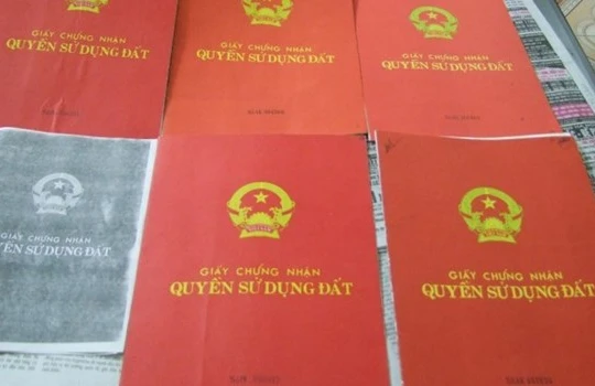 Ảnh minh họa. (Nguồn: Internet)