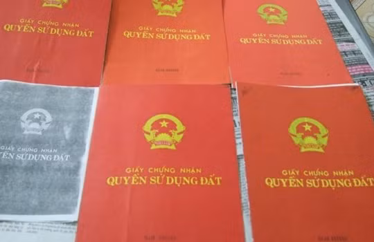 Ảnh minh họa. (Nguồn: Internet)