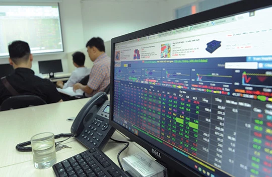 Ảnh minh họa. (Nguồn: Internet)