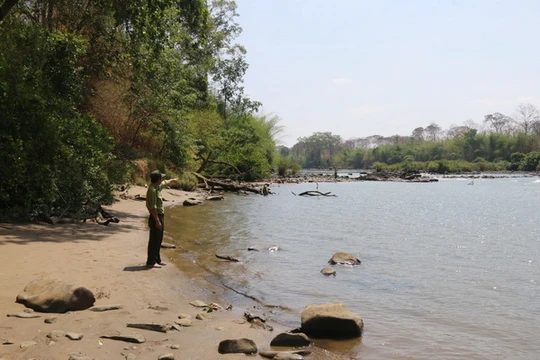 Ảnh minh họa. (Nguồn: Internet)