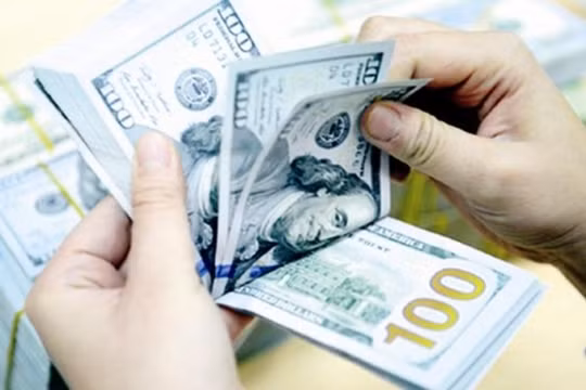 Điều hành tỷ giá trung tâm có lên, có xuống hàng ngày đã giảm tâm lý găm giữ ngoại tệ.