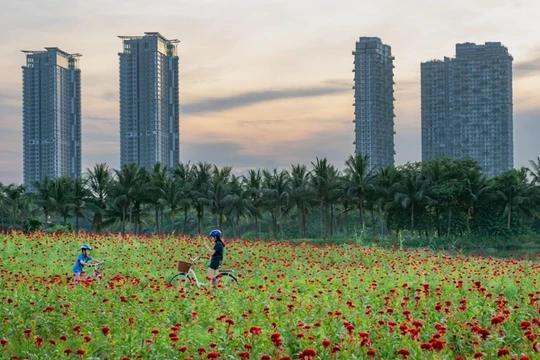 Ông bố kể chuyện tìm thấy nơi ở “định mệnh” cho cả gia đình sau một lần đi lạc