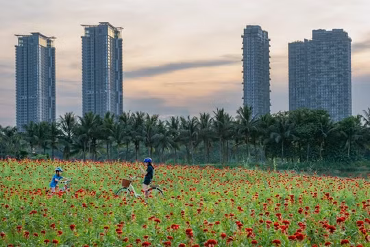 Ông bố kể chuyện tìm thấy nơi ở “định mệnh” cho cả gia đình sau một lần đi lạc