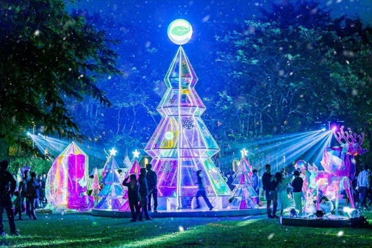 Giáng sinh rực rỡ sắc màu tại “khu rừng pha lê” tuyết trắng Ecopark