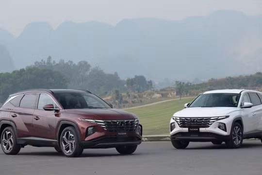Hyundai Thành Công tổ chức ngày hội trải nghiệm đặc biệt - Hyundai Experience Day 2023 