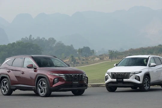 Hyundai Thành Công tổ chức ngày hội trải nghiệm đặc biệt - Hyundai Experience Day 2023 