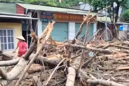 Lũ khủng khiếp ở Nghệ An: "Nghèo trở lại rồi, mất hết tất cả!"