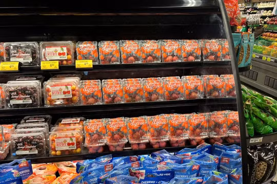 Quả vải Bắc Ninh lần đầu bán ở chuỗi siêu thị lớn nhất nước Mỹ