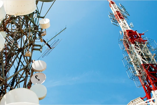 Ảnh minh họa, nguồn Internet