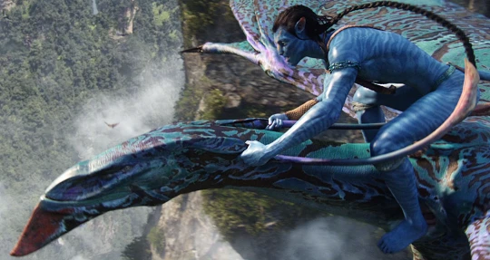 Ảnh cắt từ phim.