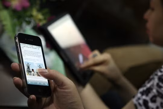 Ảnh minh họa: TTO