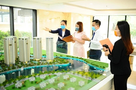 Các cá nhân phải làm việc trong doanh nghiệp, tham gia đào tạo, bồi dưỡng kiến thức hàng năm,...mới đủ điều kiện hành nghề bất động sản.