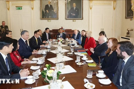 Tổng Bí thư, Chủ tịch nước Tô Lâm hội đàm với Tổng thống Ireland Michael Higgins