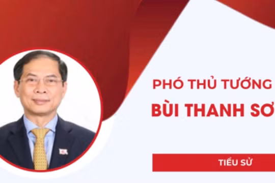Infographic: Chân dung Phó Thủ tướng Bùi Thanh Sơn, Bộ trưởng Bộ Ngoại giao
