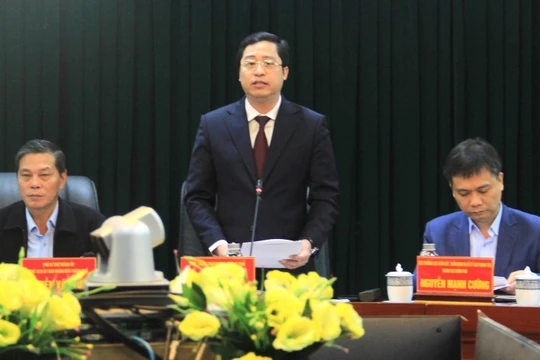 Thanh tra Chính phủ chỉ ra nhiều vi phạm tại một loạt dự án bất động sản