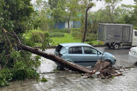 Ô tô bị thiệt hại do bão Yagi gây ra. Ảnh: X.L