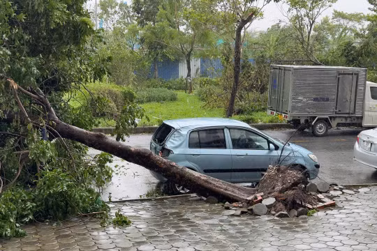 Ô tô bị thiệt hại do bão Yagi gây ra. Ảnh: X.L