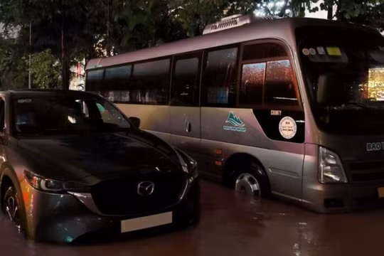 Ứng phó bão lớn: Kinh nghiệm tốc độ và giải pháp hợp lý là chìa khóa