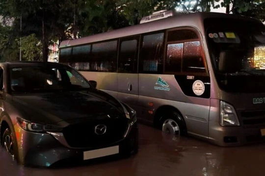 Ứng phó bão lớn: Kinh nghiệm tốc độ và giải pháp hợp lý là chìa khóa