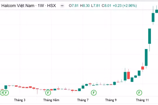 Cổ phiếu HID của Halcom tăng giá liên tục, đạt đỉnh "kịch trần": Đâu là động lực thật sự?