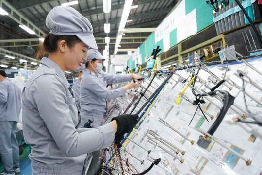Việt Nam cần tái cấu trúc theo hướng nâng cao nội lực sản xuất quốc gia, giảm lệ thuộc vào FDI. Ảnh: Thaco.