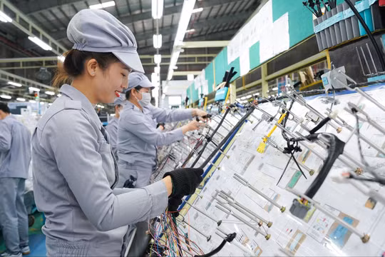 Việt Nam cần tái cấu trúc theo hướng nâng cao nội lực sản xuất quốc gia, giảm lệ thuộc vào FDI. Ảnh: Thaco.
