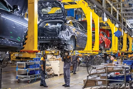 Kinh tế tư nhân đóng vai trò quan trọng trong nền kinh tế Việt Nam.