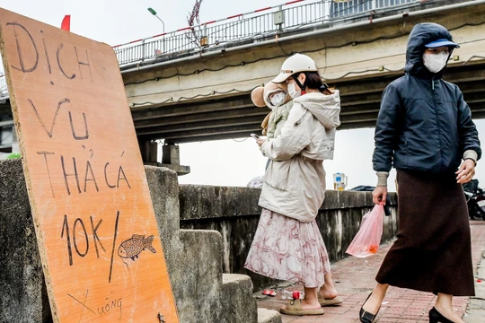 Mở dịch vụ 'đưa cá chép lên trời', nhiều người ở Nam Định 'ẵm' tiền triệu