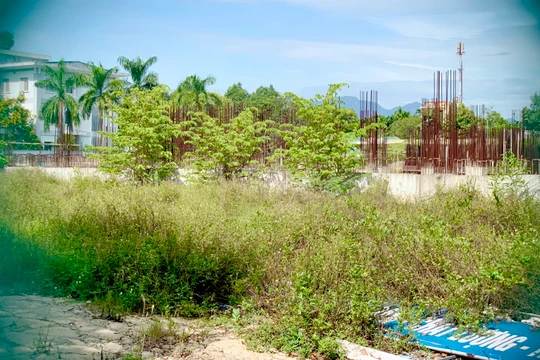 Quảng Ngãi: Dự án bệnh viện nghìn tỷ bỏ hoang trên đất “vàng”