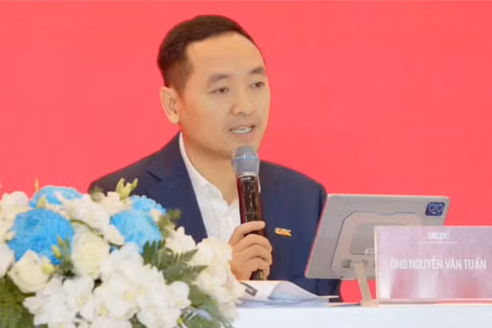 Video: Lãnh đạo Gelex nói về mục tiêu đầu tư vào lĩnh vực tài chính ngân hàng và Eximbank