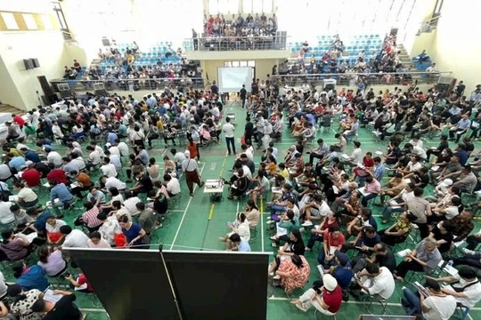 Thủ tướng yêu cầu thực hiện các giải pháp nâng cao hiệu quả đấu giá quyền sử dụng đất 