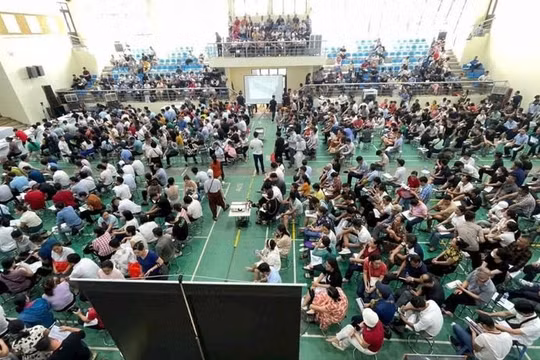 Thủ tướng yêu cầu thực hiện các giải pháp nâng cao hiệu quả đấu giá quyền sử dụng đất 