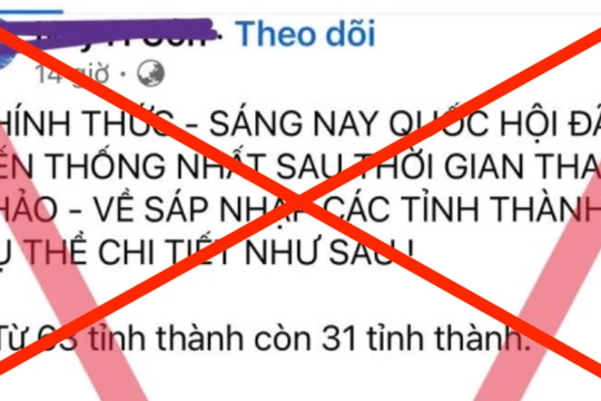 Đà Nẵng là một trong 6 thành phố trực thuộc Trung ương nhưng tin giả cho rằng sẽ nhập với tỉnh Quảng Nam và đặt trụ sở ở Tam Kỳ (Quảng Nam). 