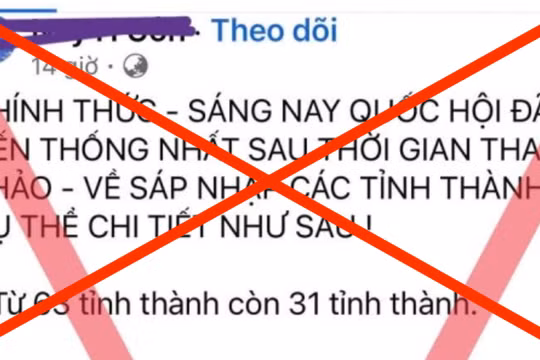 Đà Nẵng là một trong 6 thành phố trực thuộc Trung ương nhưng tin giả cho rằng sẽ nhập với tỉnh Quảng Nam và đặt trụ sở ở Tam Kỳ (Quảng Nam). 