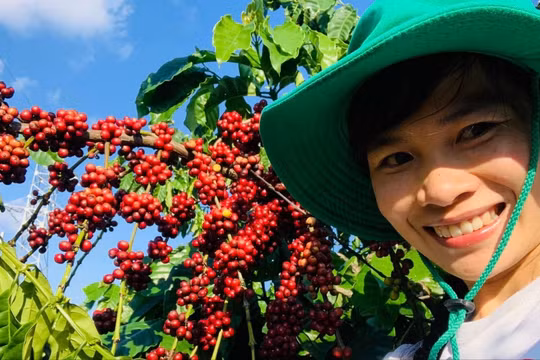 Nữ thạc sỹ 8X về quê khởi nghiệp: Hãy bắt đầu với quy mô nhỏ, vốn ít