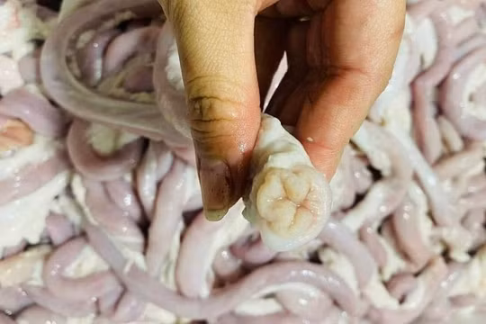 Lòng se điếu bán chợ online chỉ 25.000-40.000 đồng/kg, thịt nhập giá rẻ đổ bộ