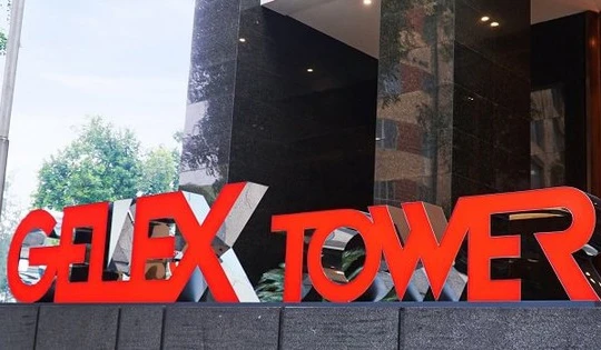 GELEX trở thành cổ đông lớn tại Seaprodex (SEA)