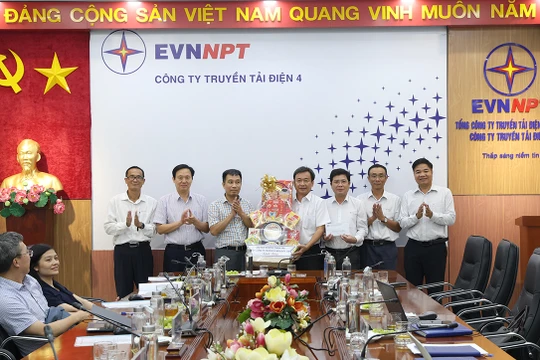 Đảm bảo truyền tải điện an toàn, ổn định tại Đồng Nai sau sắp xếp tinh gọn bộ máy