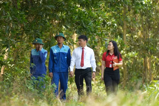 Agribank - Cầu nối chiến lược đưa tín chỉ carbon Việt Nam vươn ra thị trường quốc tế