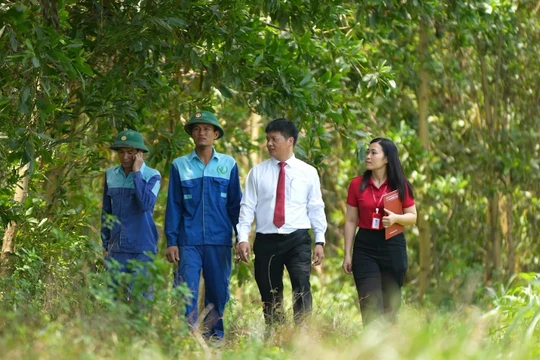 Agribank - Cầu nối chiến lược đưa tín chỉ carbon Việt Nam vươn ra thị trường quốc tế