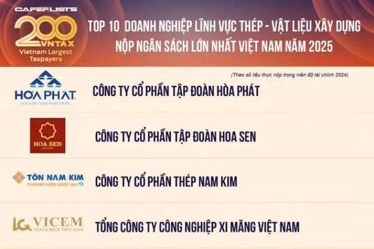 Hòa Phát là doanh nghiệp thép nộp ngân sách lớn nhất Việt Nam