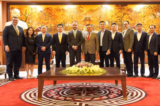 Tổ hợp thể thao, giải trí 4,5 tỷ USD của T&T dự kiến vận hành năm 2028