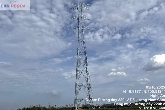 Tập trung nguồn lực đẩy nhanh tiến độ cụm dự án truyền tải điện phục vụ nhập khẩu điện từ Lào