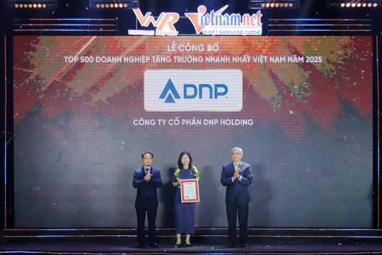 Đại hội cổ đông DNP Holding 2025: Mục tiêu doanh thu 2025 gần 9.700 tỷ đồng