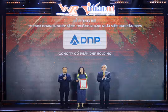 Đại hội cổ đông DNP Holding 2025: Mục tiêu doanh thu 2025 gần 9.700 tỷ đồng