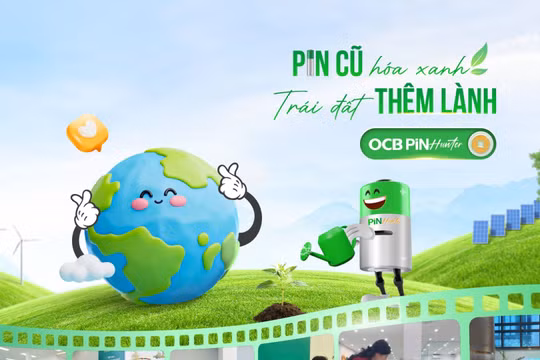 Hàng trăm kg pin cũ được thu gom từ chiến dịch pin Hunter do OCB phát động 