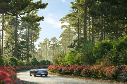 Thanh Xuan Valley - miền an trú giữa thiên nhiên nguyên bản