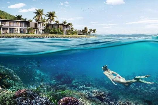 Cùng Villa Le Corail, A Gran Meliá Hotel bảo tồn hệ sinh thái ngay dưới thềm dinh thự